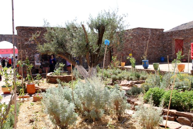 permaculture Marrakech